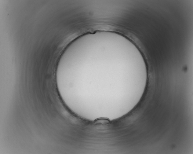 X0000112540433200909071425
