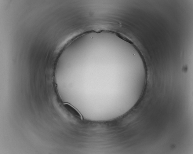X0000112540434200909071425