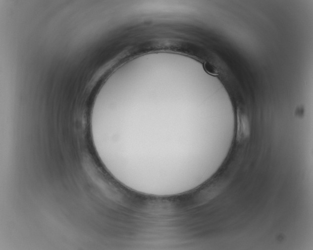 X0000112540435200909071425