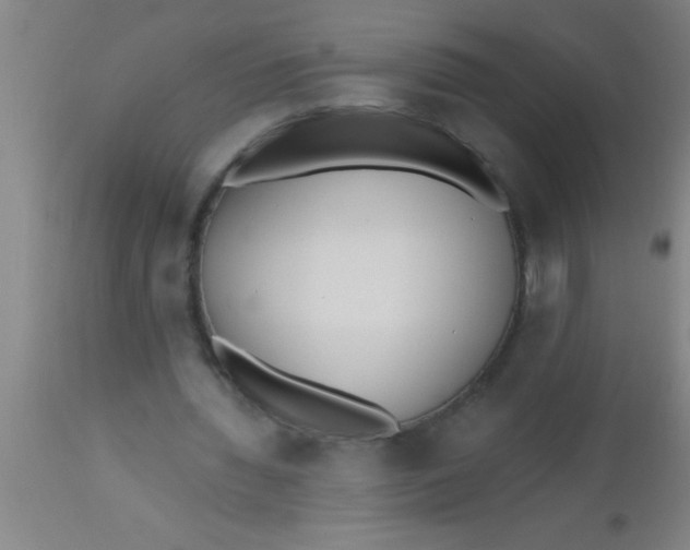 X0000112540436200909071425
