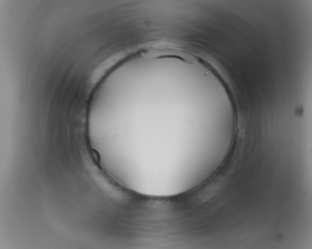 X0000112540437200909071425