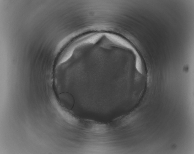 X0000112540438200909071425
