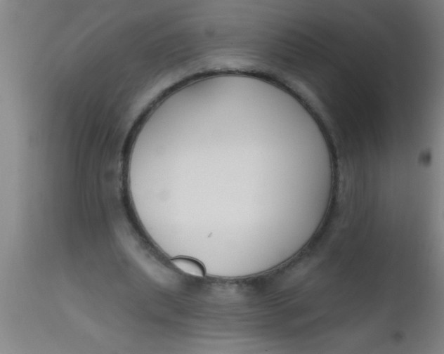 X0000112540439200909071425