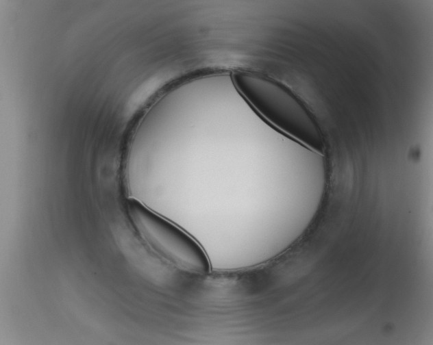 X0000112540440200909071425