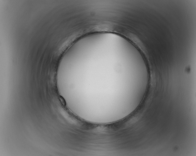 X0000112540441200909071425
