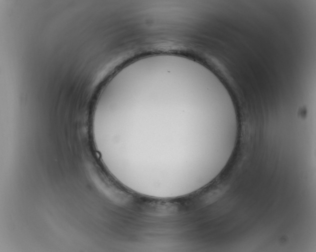 X0000112540443200909071425