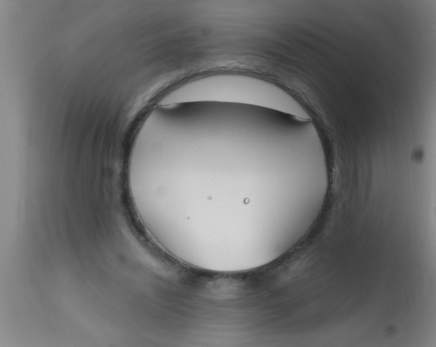X0000112540444200909071425