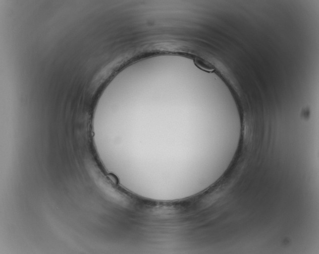 X0000112540445200909071425