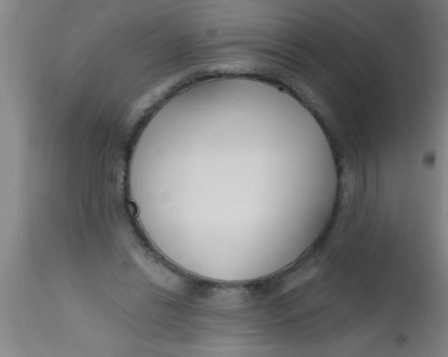 X0000112540446200909071425