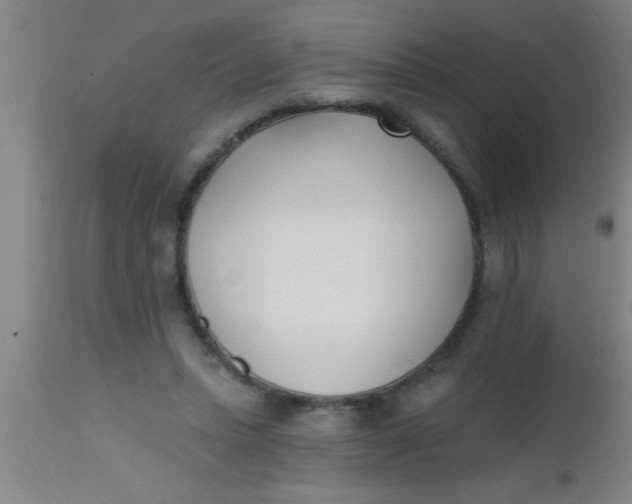 X0000112540447200909071425