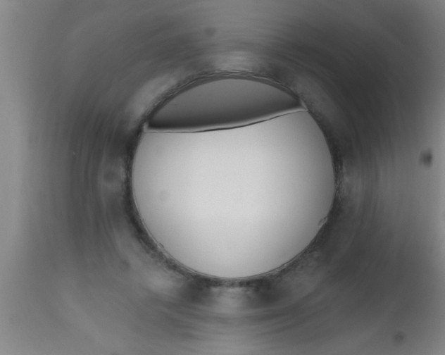 X0000112540448200909071425