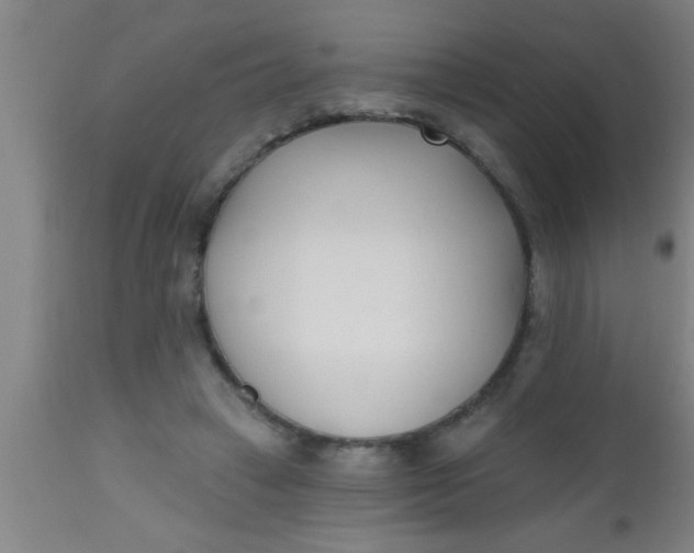 X0000112540449200909071425