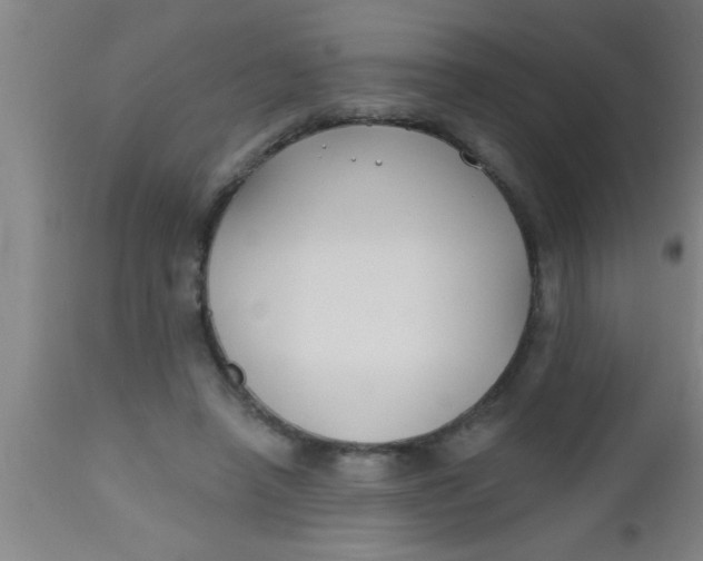 X0000112540450200909071425