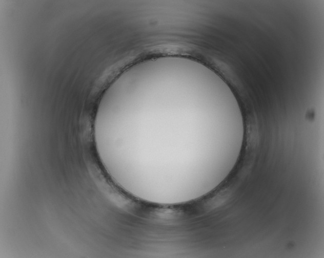 X0000112540453200909071425