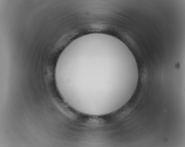 X0000112540455200909071425