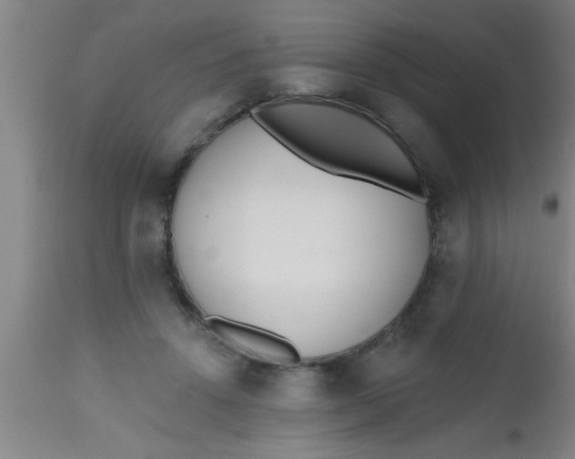 X0000112540456200909071425
