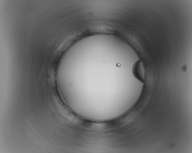 X0000112540457200909071425