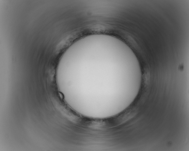 X0000112540458200909071425