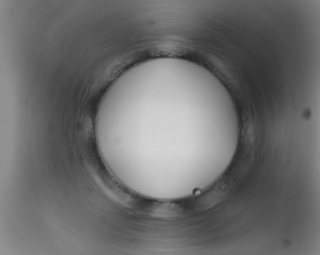 X0000112540459200909071425