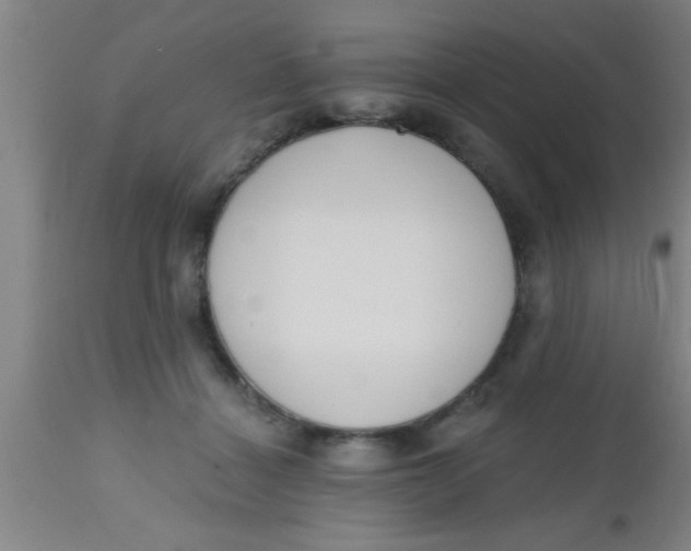 X0000112540460200909071425