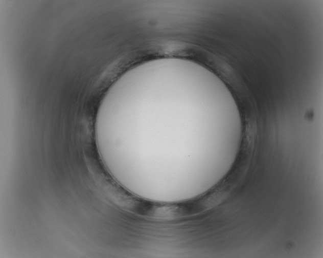 X0000112540461200909071426