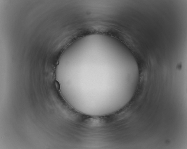 X0000112540464200909071426