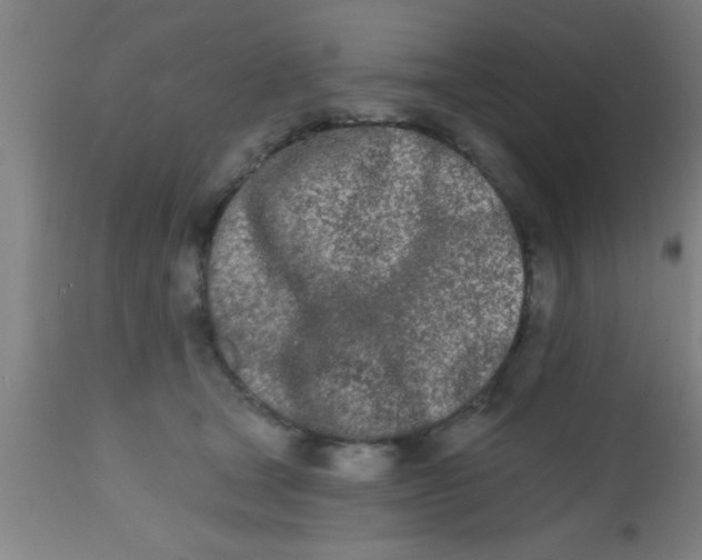 X0000112540465200909071426