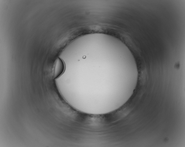 X0000112540466200909071426