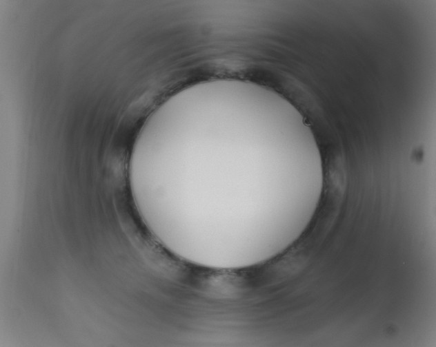 X0000112540468200909071426