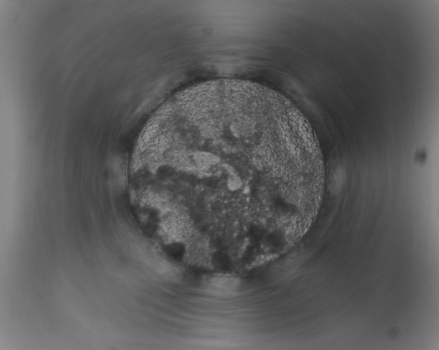 X0000112540471200909071426