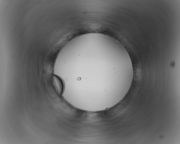 X0000112540472200909071426