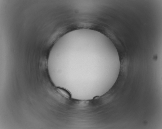 X0000112540474200909071426