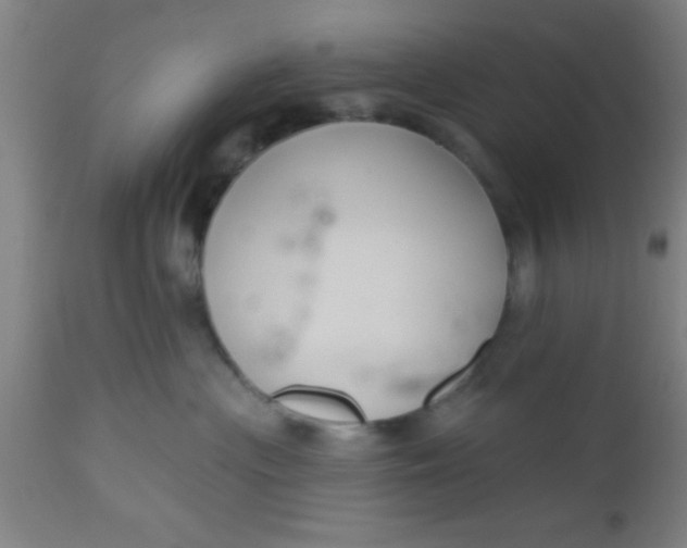 X0000112540477200909071426