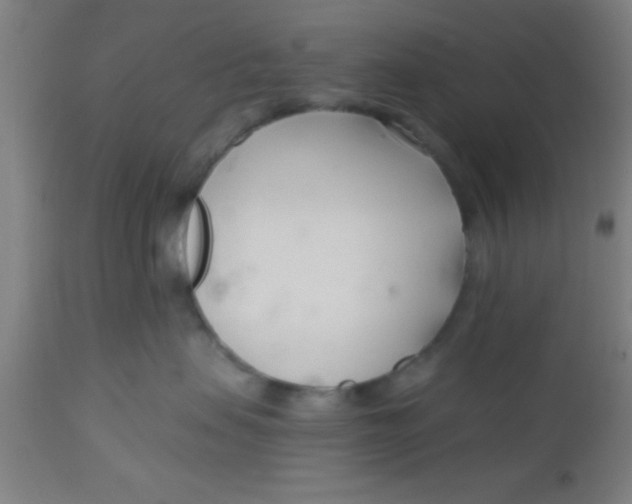 X0000112540479200909071426
