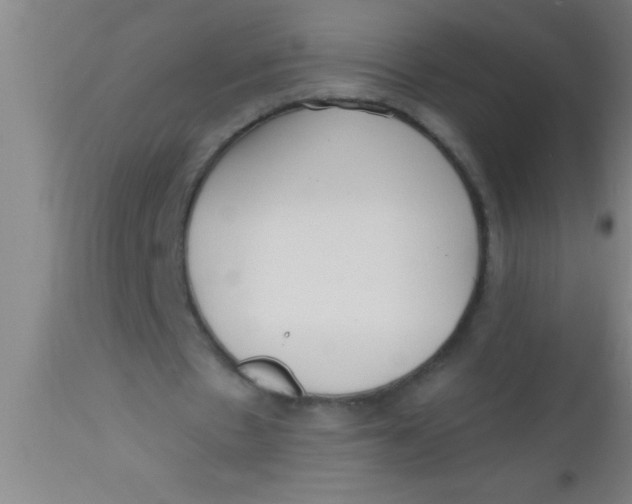 X0000112540481200909071425