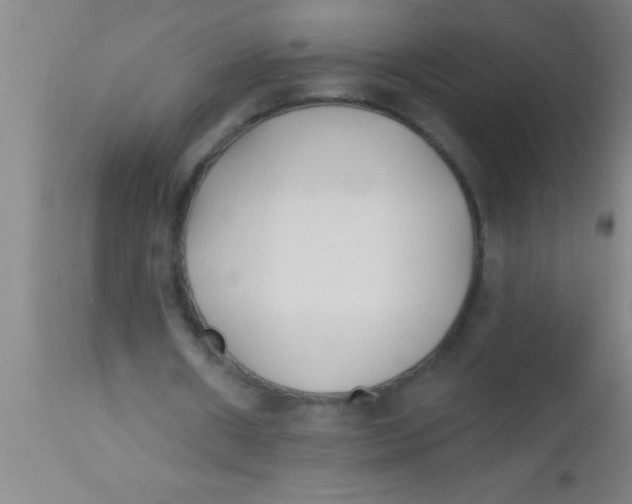 X0000112540482200909071425