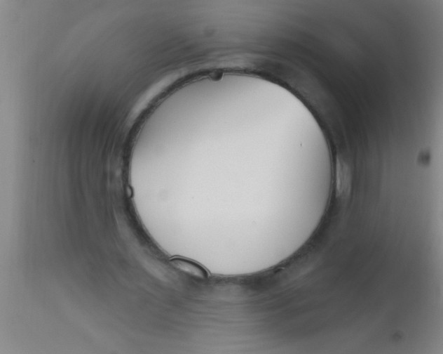 X0000112540483200909071425