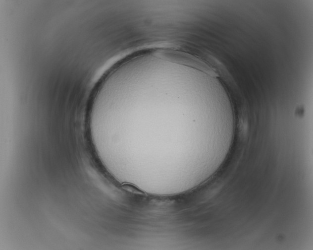 X0000112540484200909071425