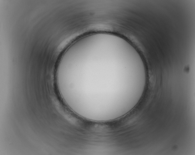 X0000112540487200909071425