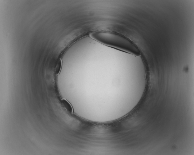 X0000112540489200909071425