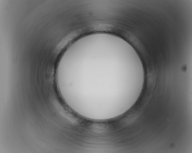 X0000112540490200909071425