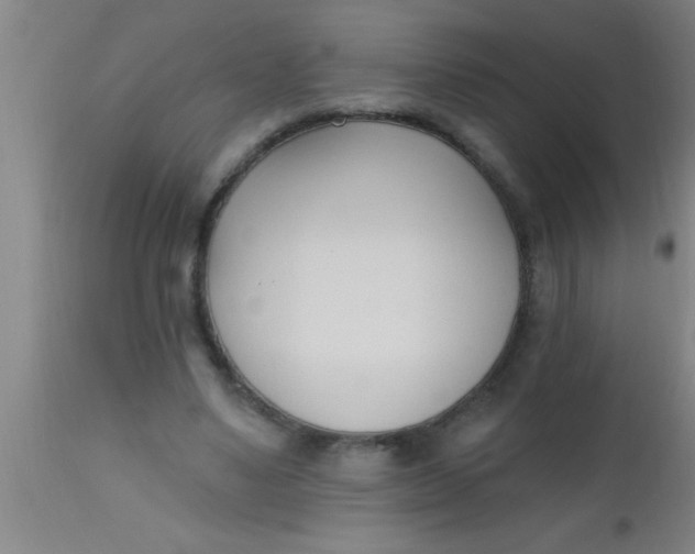 X0000112540491200909071425