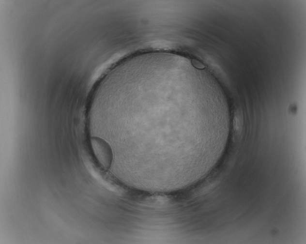 X0000112540492200909071425