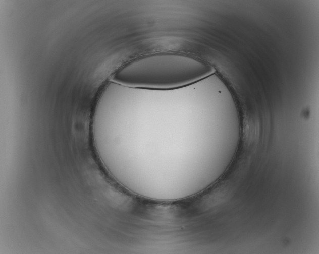X0000112540493200909071425