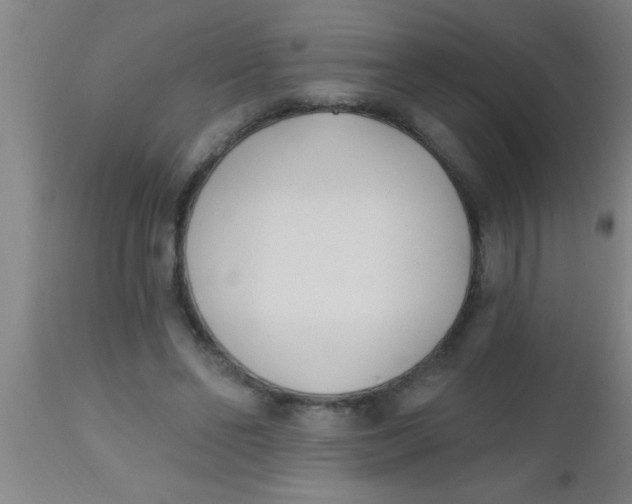 X0000112540494200909071425