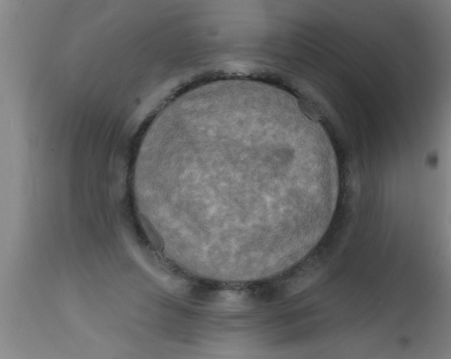 X0000112540496200909071425