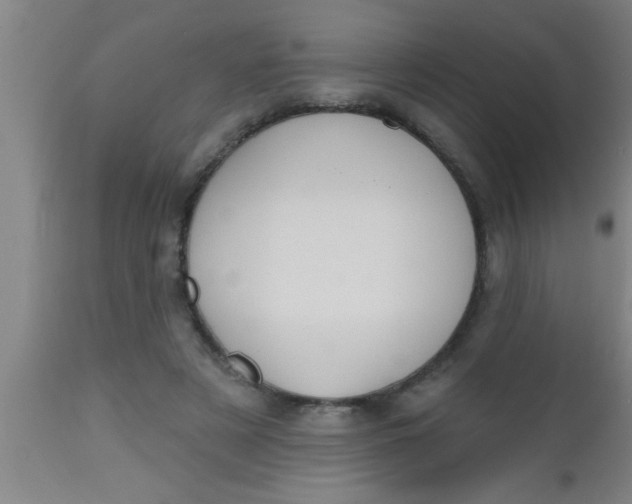 X0000112540497200909071425