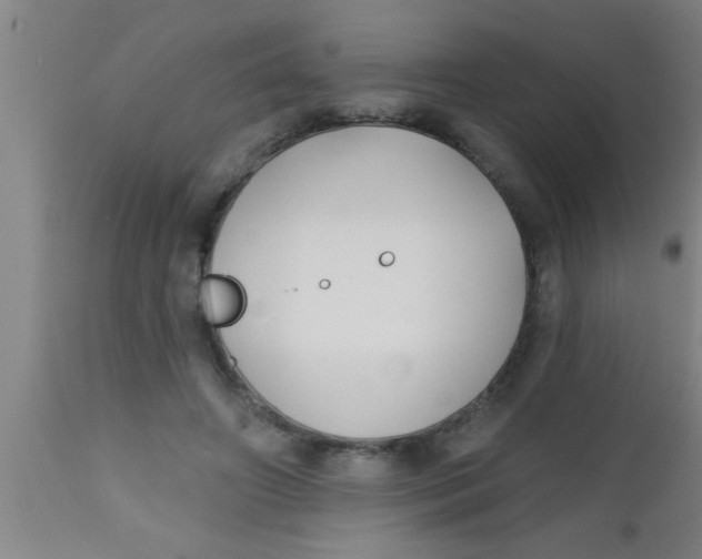 X0000112540498200909071425