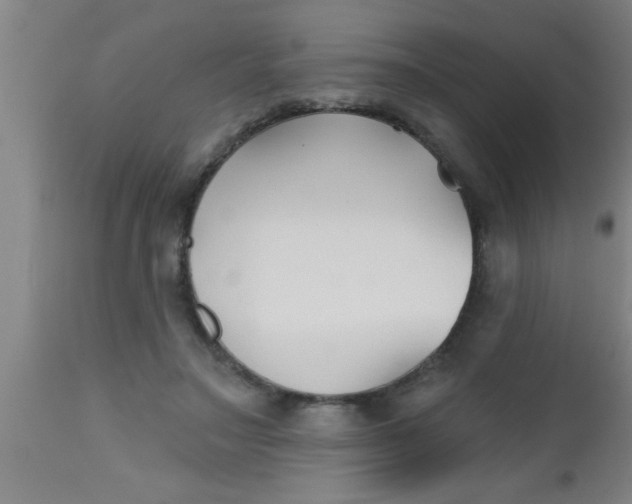 X0000112540499200909071425