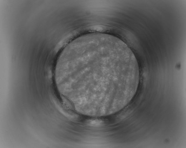 X0000112540500200909071425